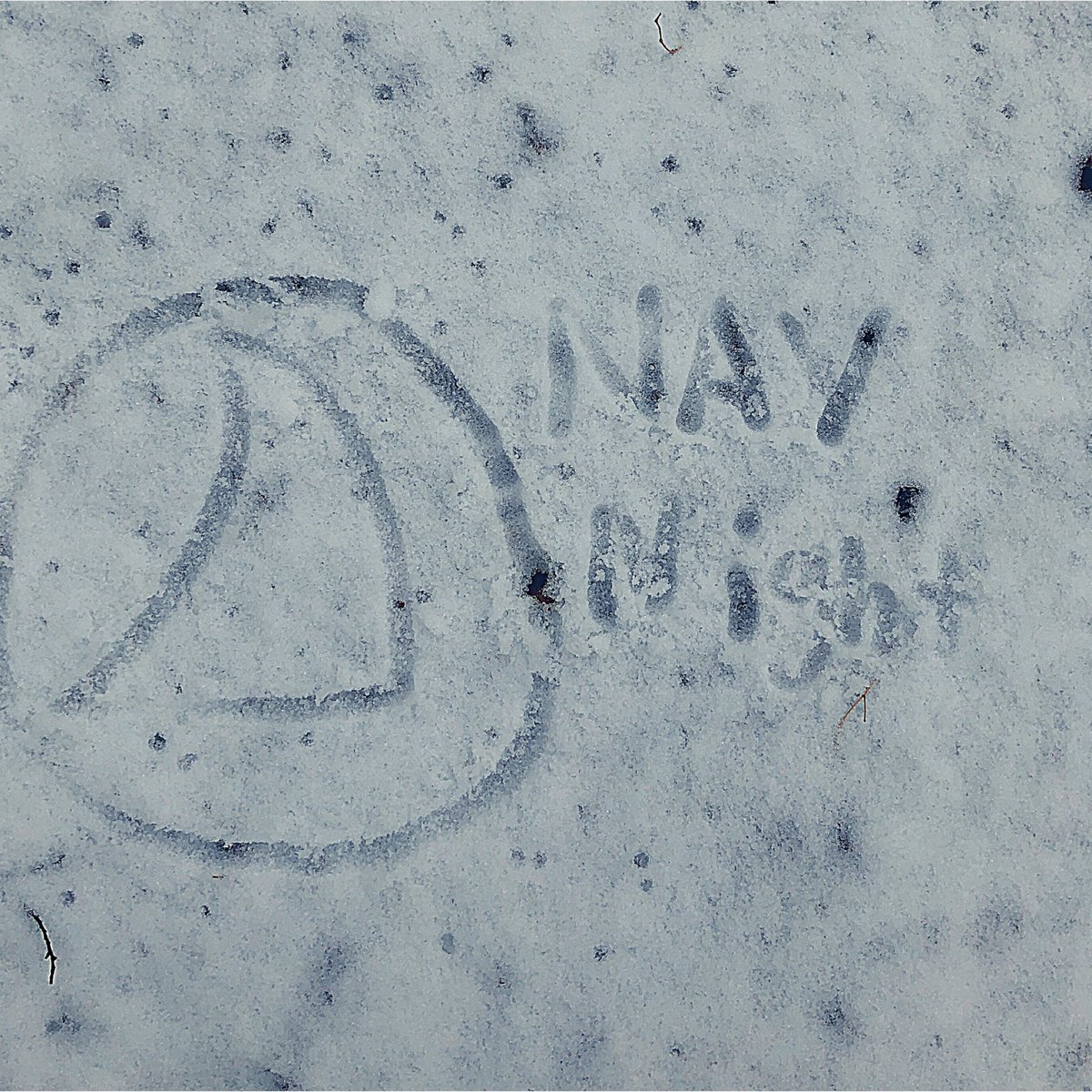 wsunavigators's tweet photo. Guess what day it is?! Guess what day it is!?! It’s Thursday! That means Nav Night is back! This semester, we’re on the move. Nav Night will now be in the RSC room 233. Head on over there to catch up with friends and to hear John speaking about abiding in Christ! https://t.co/hVaiOfaXaJ