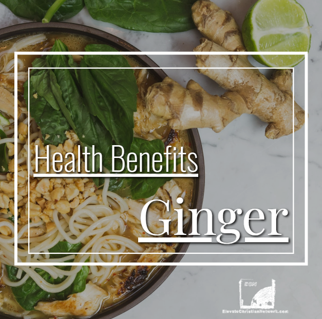 ceeharmon's tweet photo. Ginger has been used for centuries for its healing properties. It has a long history of health benefits, including relief from nausea, digestive issues, pain, and more... | https://t.co/voWNYaQUBM  | #ginger #health #healing https://t.co/pfgEKVQlMO