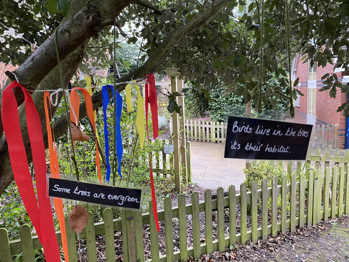 St Paul S Coe Primary School On Twitter Oak Have Been Working