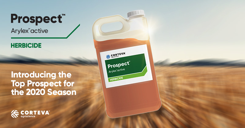 For more complete pre-seed control tank mix your glyphosate with Prospect™ herbicide. Prospect is now registered for use prior to seeding canola and provides more complete control of tough broadleaf weeds like cleavers, hemp-nettle and dandelion than glyphosate alone. #WestCdnAg