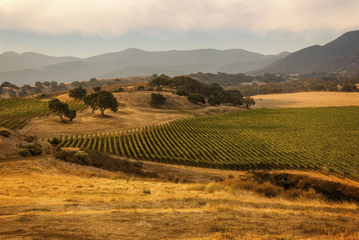 Kevin Henney tweet media