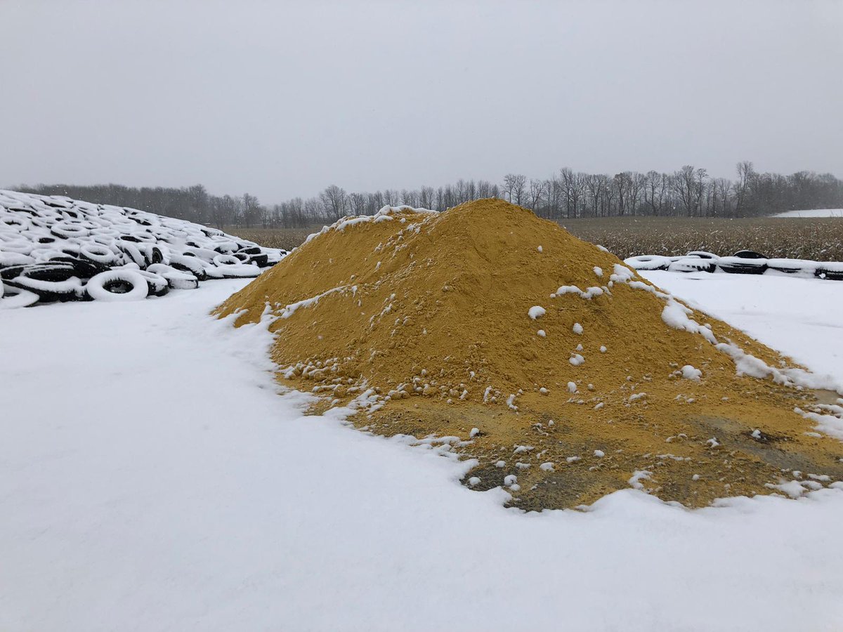 specialist_us's tweet photo. FultonGold being fed to dairy cows in St Laurence, New York. Cows are being fed 7lbs per head per day. Call +3156711695 for more details on this local feed source #dairyconsultants #unlockyourfarm potential #fultongold https://t.co/kkDEGgfcSp