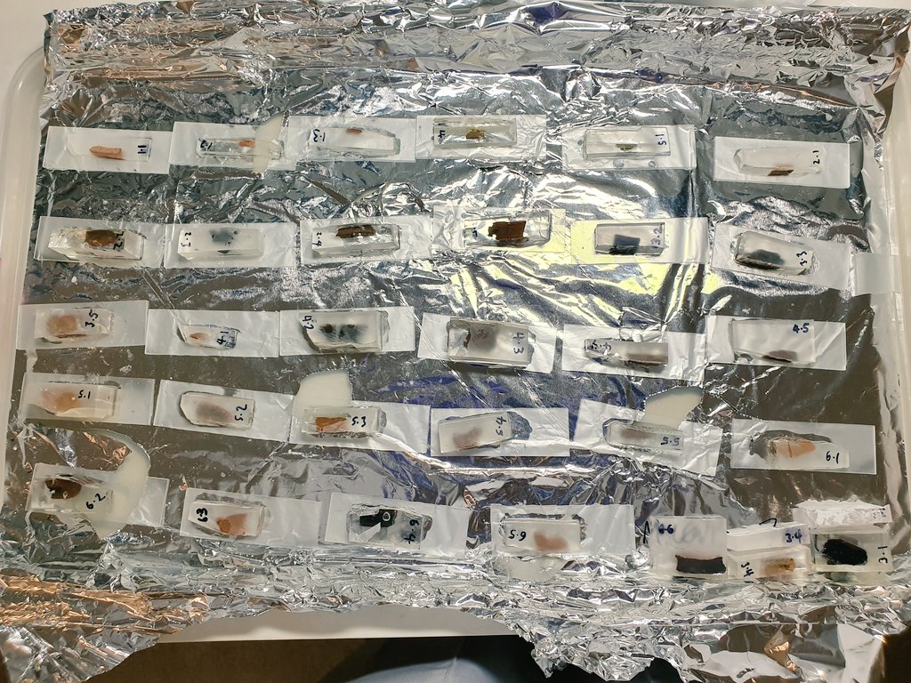 mike_p_lewis's tweet photo. Next step: impregnated #pottery sherds from Kani Shaie have now been attached to the frosted microscope slides. Nearly done! 🤩 🏺 🔬 👨‍🔬 
#archaeology #phdlife #ceramicanalysis #analysis #petrography #iraq #Mesopotamia https://t.co/818sKJ0op9 https://t.co/VA9SGv8G2A