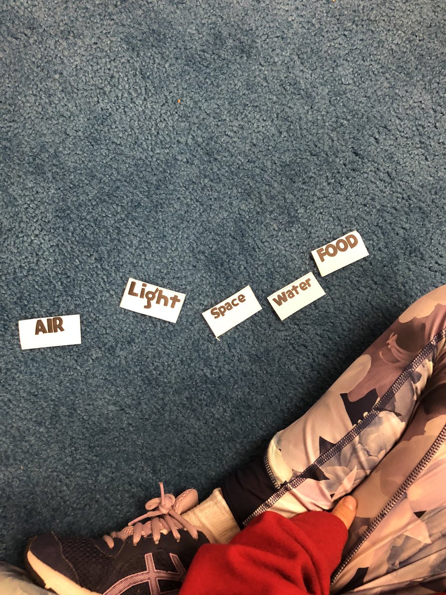 AmyRyanbc's tweet photo. 3C students on the hunt for their basic needs-food, air, light, water, and space.  What happens when there is a change in that environment like a drought? Who will survive? @chpinckneyelem https://t.co/lNFbfinRTN