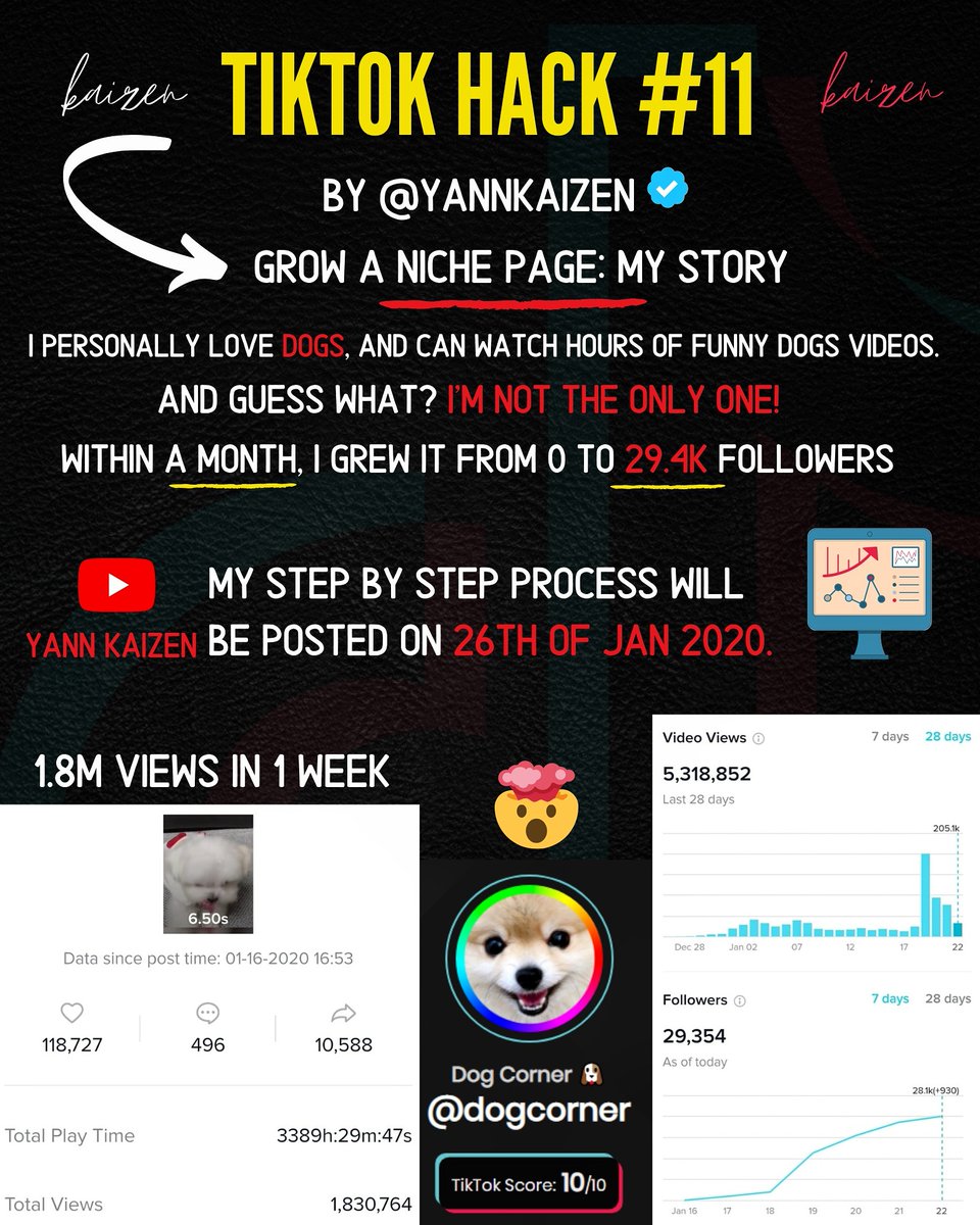imtheprocesss's tweet image. 🌿 From WATCHER to CREATOR: I'm excited about what's happening now on the page I've created just 1 month ago. & I want one thing: TO SHARE IT WITH YOU 🙏🏾💯 #garyveechallenge #tiktokalgorithm