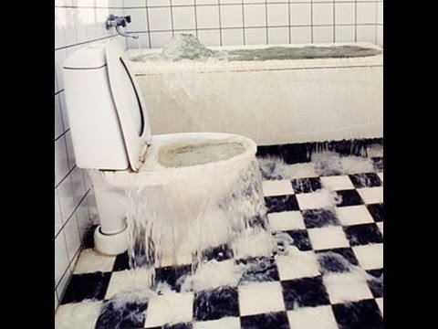 rooter_hero's tweet photo. What to do when the toilet overflows https://t.co/hL2wCb3x9J  #plumbingtips #plumbingproblem #plumbingrepair #plumbingdisaster #staycalm #clogedtoilet #toiletoverflow #rooterhero https://t.co/HZ0newcGFJ