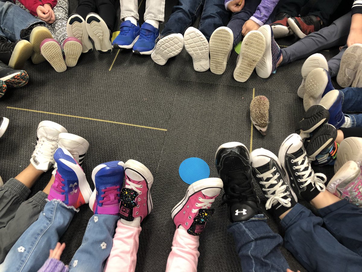 KSmithSidekicks's tweet photo. We have a new friend in our Kinder classroom! The kids have loved learning all about hedgehogs! They have named him Mr. Pricklepants. #cankinder #becannonproud @canstem https://t.co/tlJiLddrdh