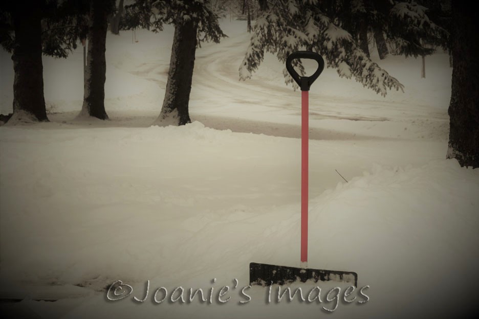 joaniesimages's tweet photo. Outdoor workout thanks to Mother Nature ❄💪🏻
#photography #outdoors #photographer #shoveling #winterworkout #photo #snow #burlesquefilter #snowshoveling #winter #art #workout #photographyisart #winterchore #outdoorworkout #photooftheday #winterphotography #winterinmn 📷😁✌🏻 https://t.co/rB2G4flI3l