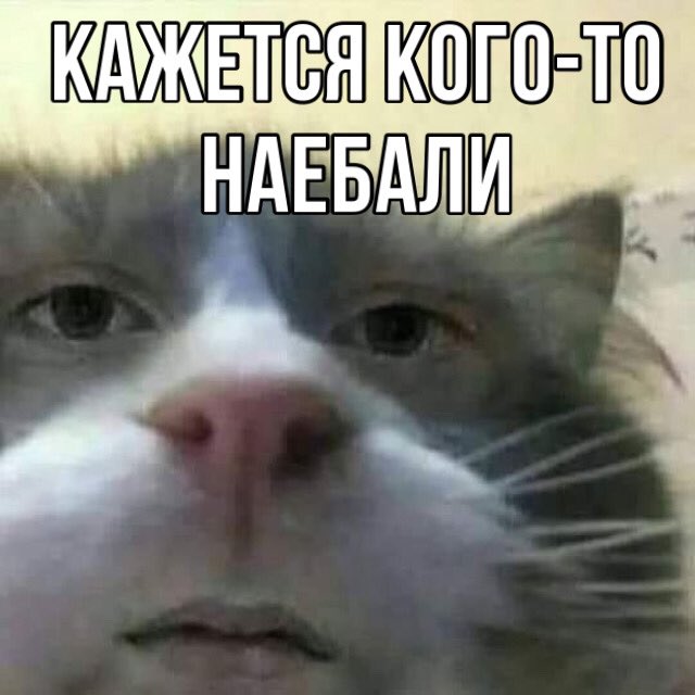 mans49293082's tweet photo. #клубромантики живи 😂 https://t.co/3layda3aKC