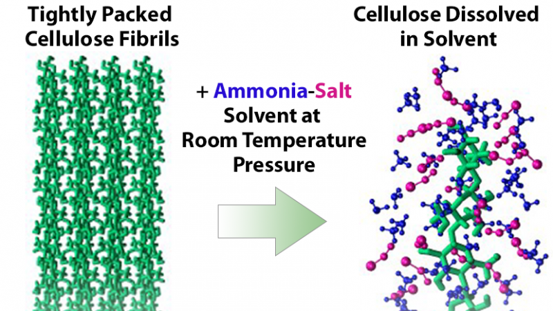 @sps_chundawat @ByToddBBates