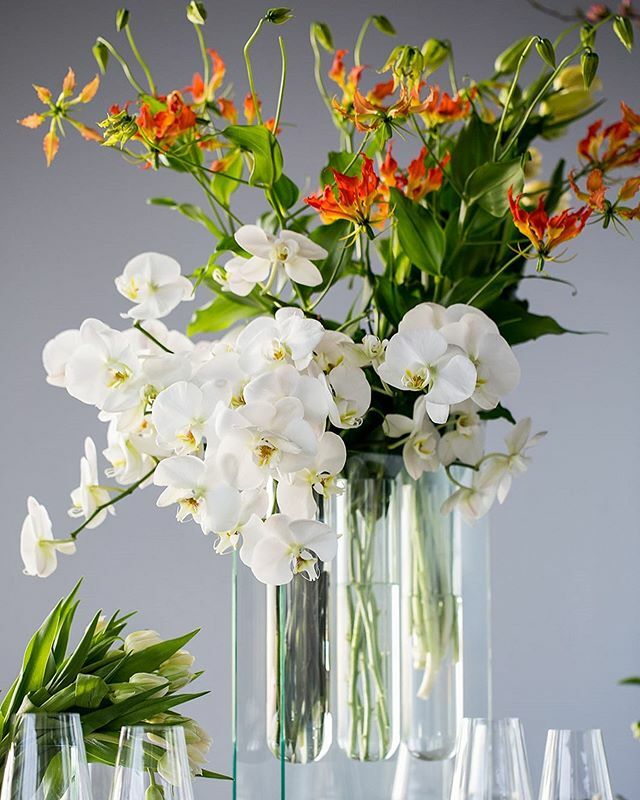 FlowersBSA's tweet photo. Elegant white orchids paired with wild red gloriosas
.
.
.
.
.
.
📸 @maggiemarguerite #tablescapes #orchids #gloriosa #recycledglass #arrangement #centerpieces #tulips #flowers #florist #glasshouses #nycflorist #nycfloraldesigner #tbt #elegantdesign #… https://t.co/Rz32BoLY1N https://t.co/MCKNReLu65