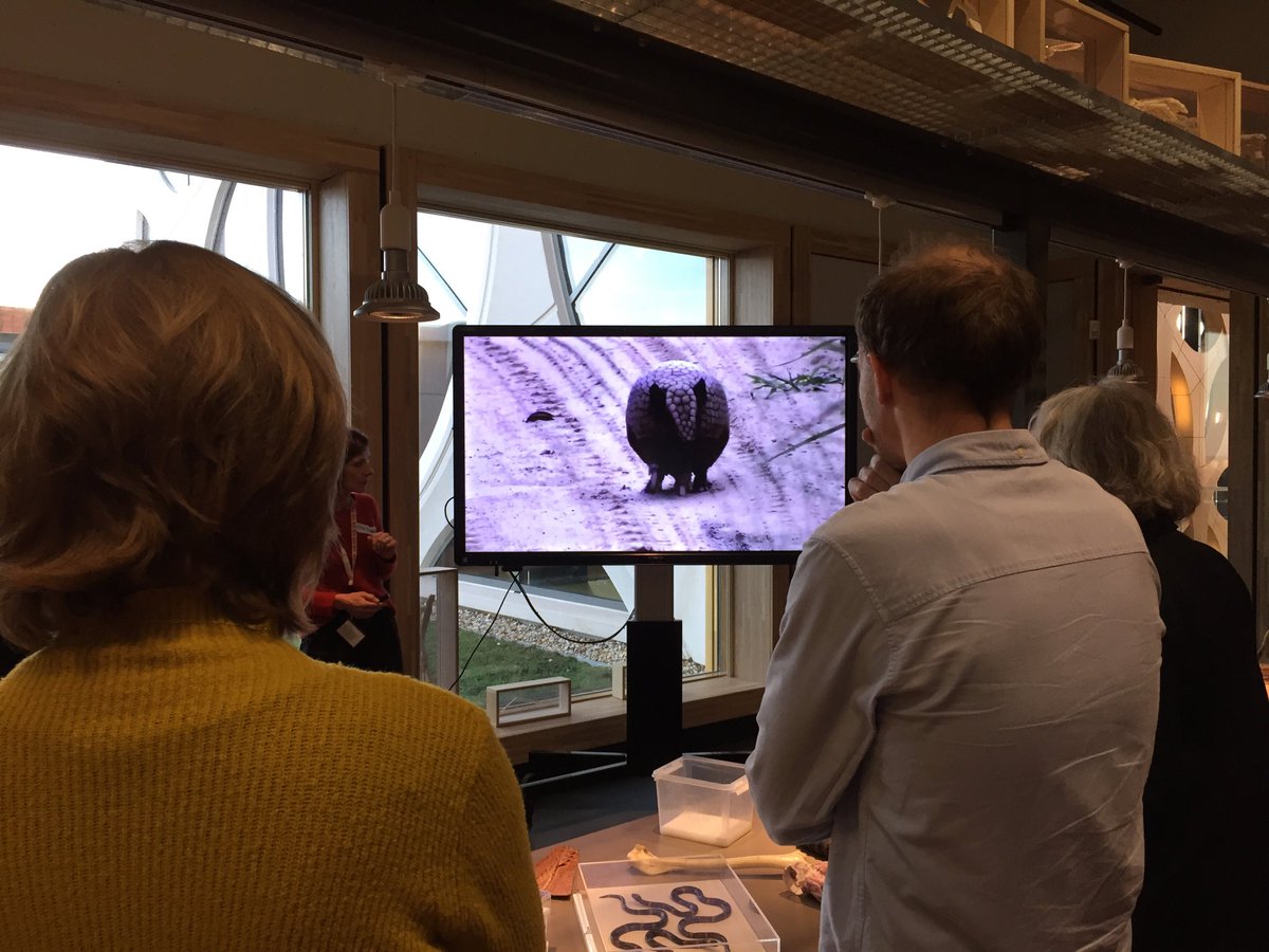 Annette ter Haar tweet media