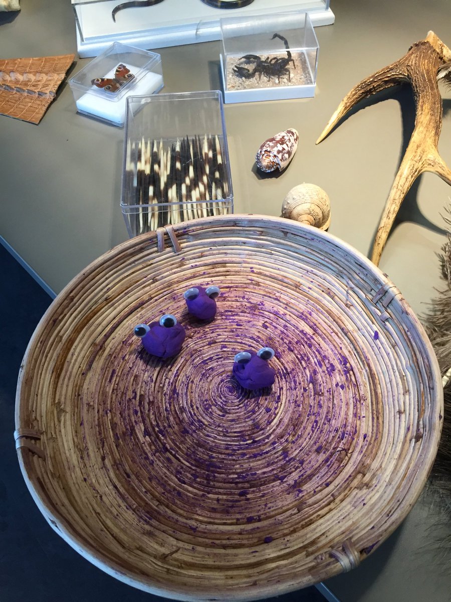 Annette ter Haar tweet media