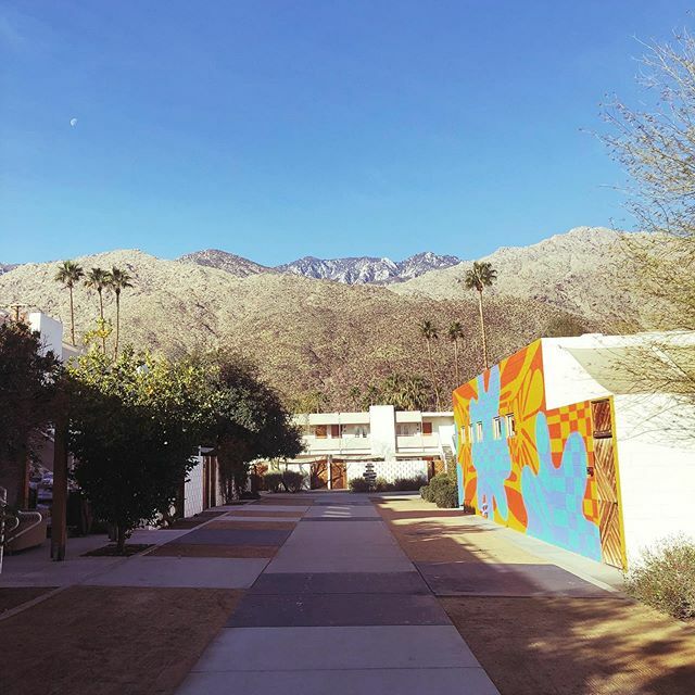 caseyjoens's tweet photo. V pumped to be here for the next few days. I ❤️ sun. https://t.co/JbFY6KV1BP https://t.co/S66BmGdqvp