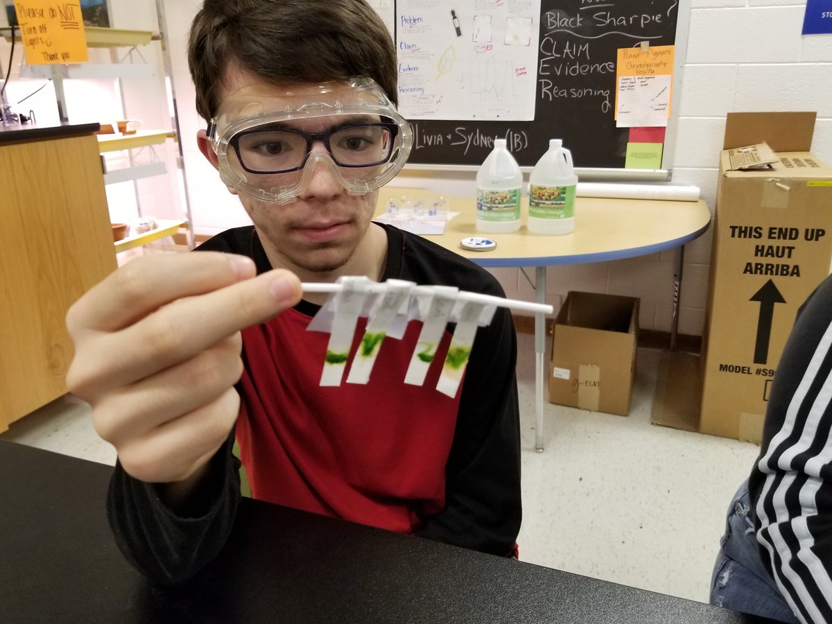 MrsCalkinsBio's tweet photo. My Biominions separated pigments today! Looked @ different plant species' leaves as well as sharpie and their favorite pen. Turns out there are more colors hiding in the world around us that we dont see. #sneakyscience #inquirer #colors @grcollegiate https://t.co/rnoeSUon3y