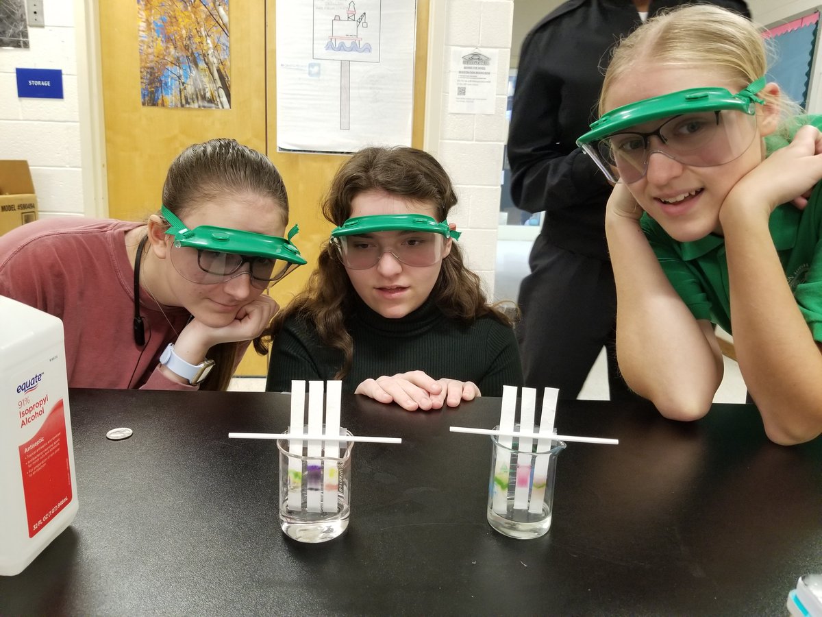 MrsCalkinsBio's tweet photo. My Biominions separated pigments today! Looked @ different plant species' leaves as well as sharpie and their favorite pen. Turns out there are more colors hiding in the world around us that we dont see. #sneakyscience #inquirer #colors @grcollegiate https://t.co/rnoeSUon3y