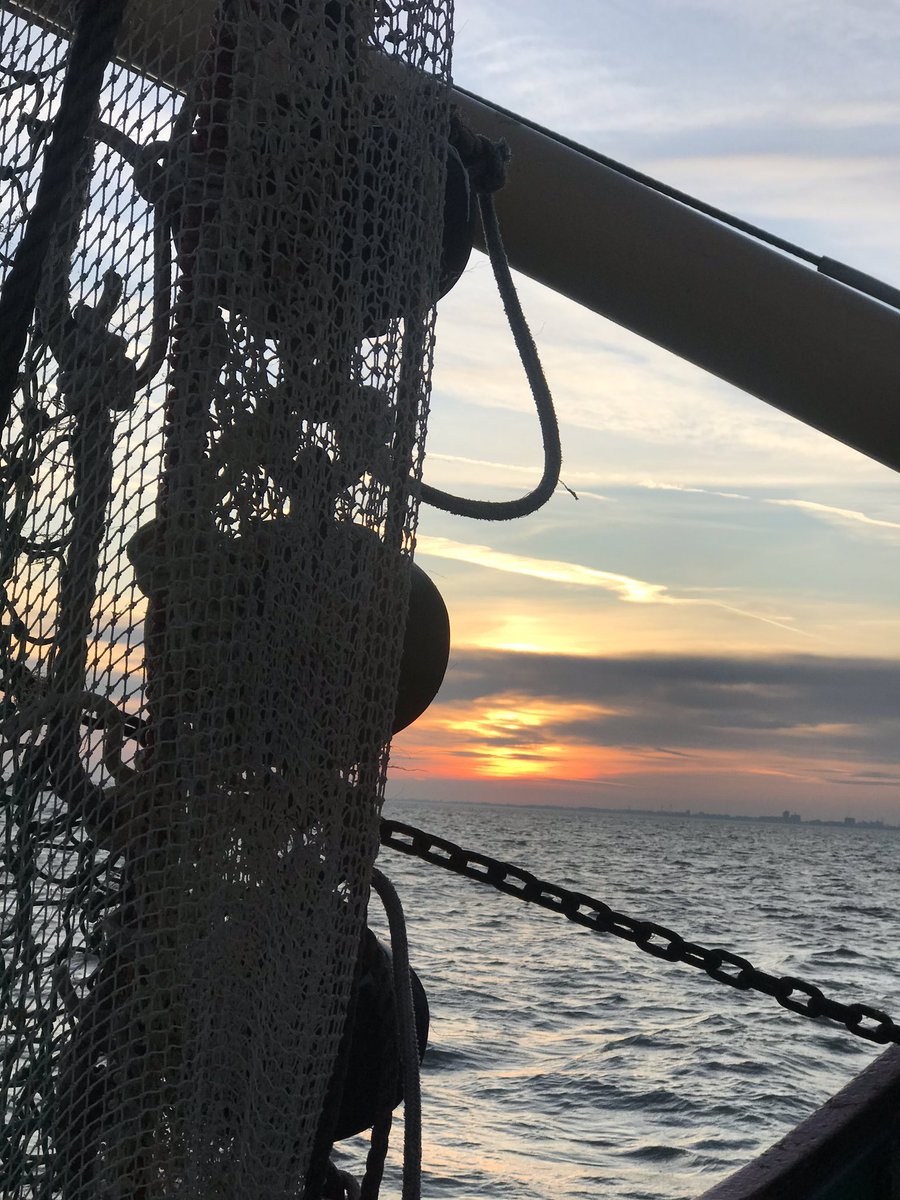 De Sylt in .. #WR291 🦐