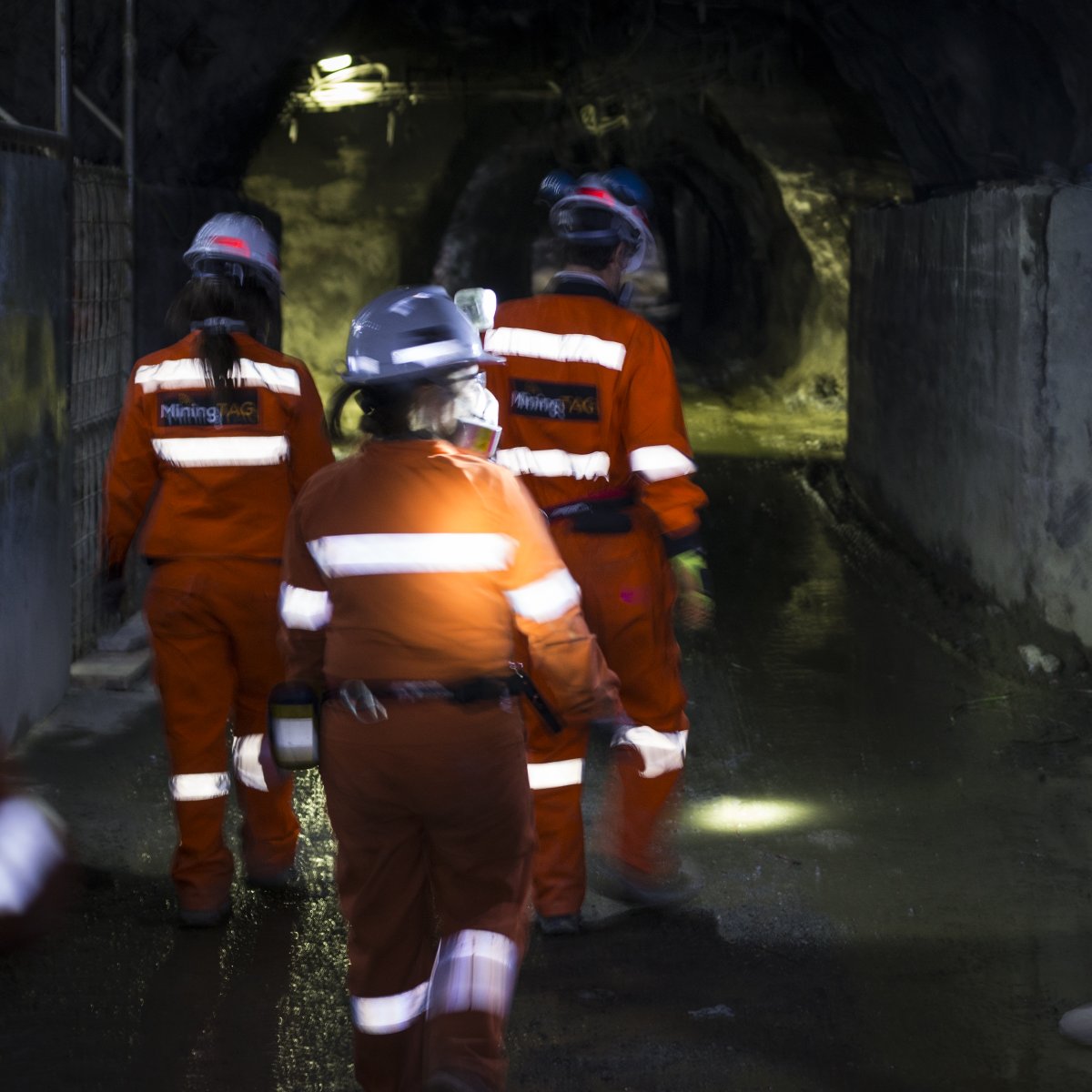 andresbarriga's tweet photo. Ayer conocí por primera vez la mina "El Teniente", junto a #MiningTag, empresa de Tech/#IoT para la minería.  Un mundo nuevo para mí, y súper interesante! https://t.co/TdeIKjvwD3