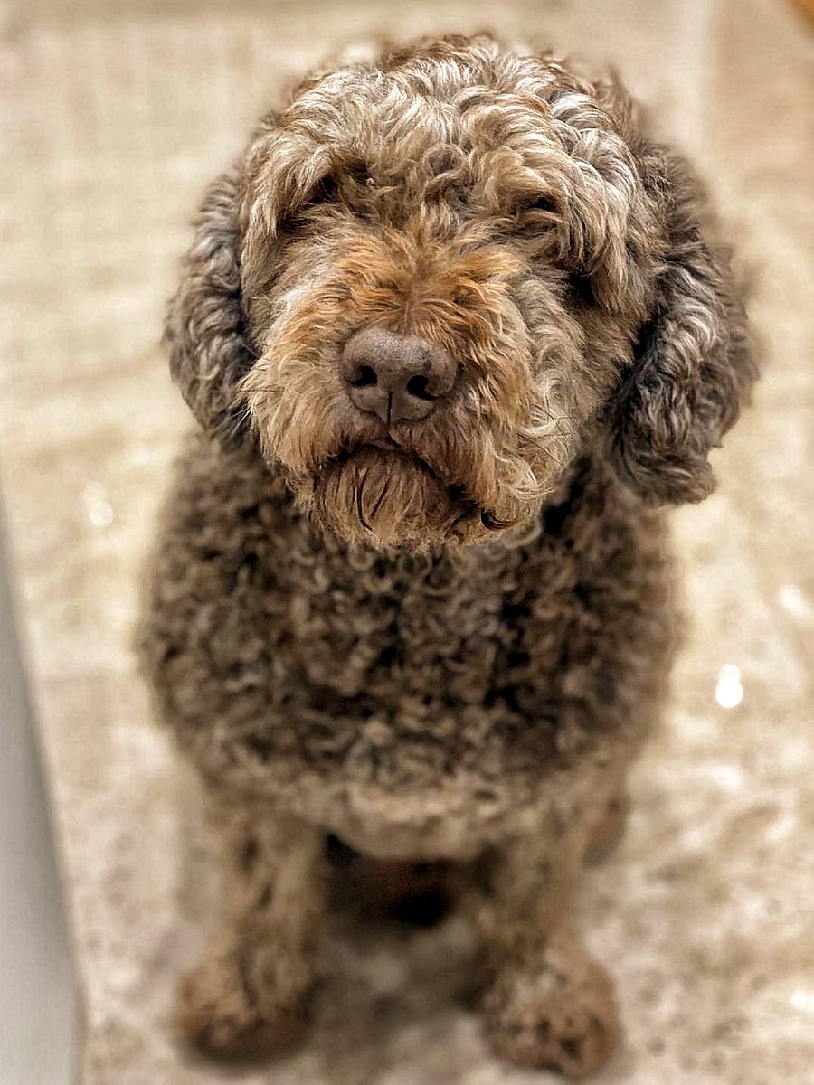 Quédate con quién te mire así
🐶♥️🐶🐶