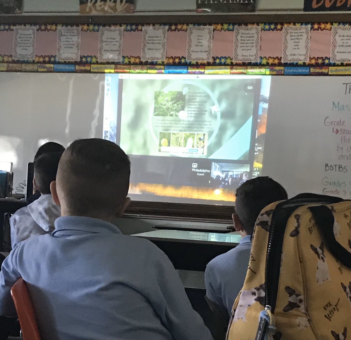 AmyMRash's tweet photo. Skyping with the @philly_zoo and learning how changes in climate affect animal habitats. Then, we’re brainstorming how we can help! #WeAreSMLS https://t.co/DUE2O1PenF