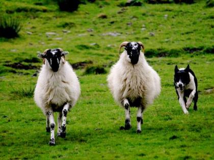 makin_chris's tweet photo. Down on the Farm – understanding the business https://t.co/wJXY5G7EI7 https://t.co/8zGB5fnquk