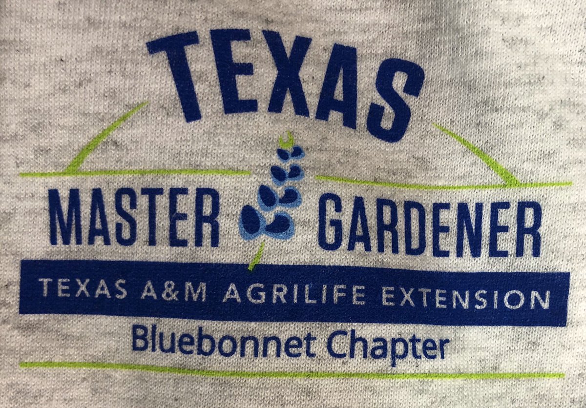 WashCo Extension tweet media