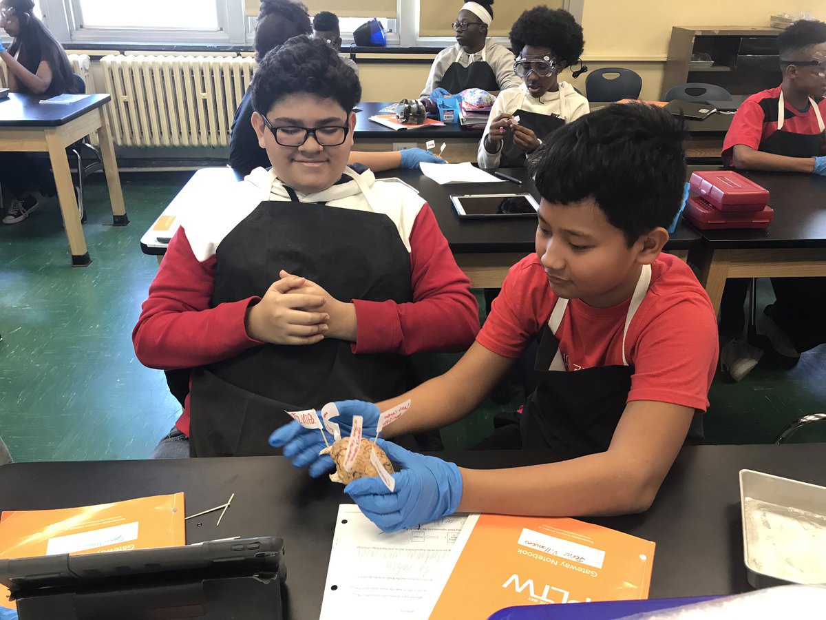 HTHScienceDept tweet media