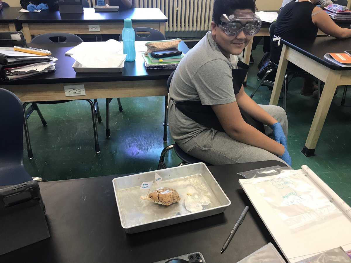 HTHScienceDept tweet media