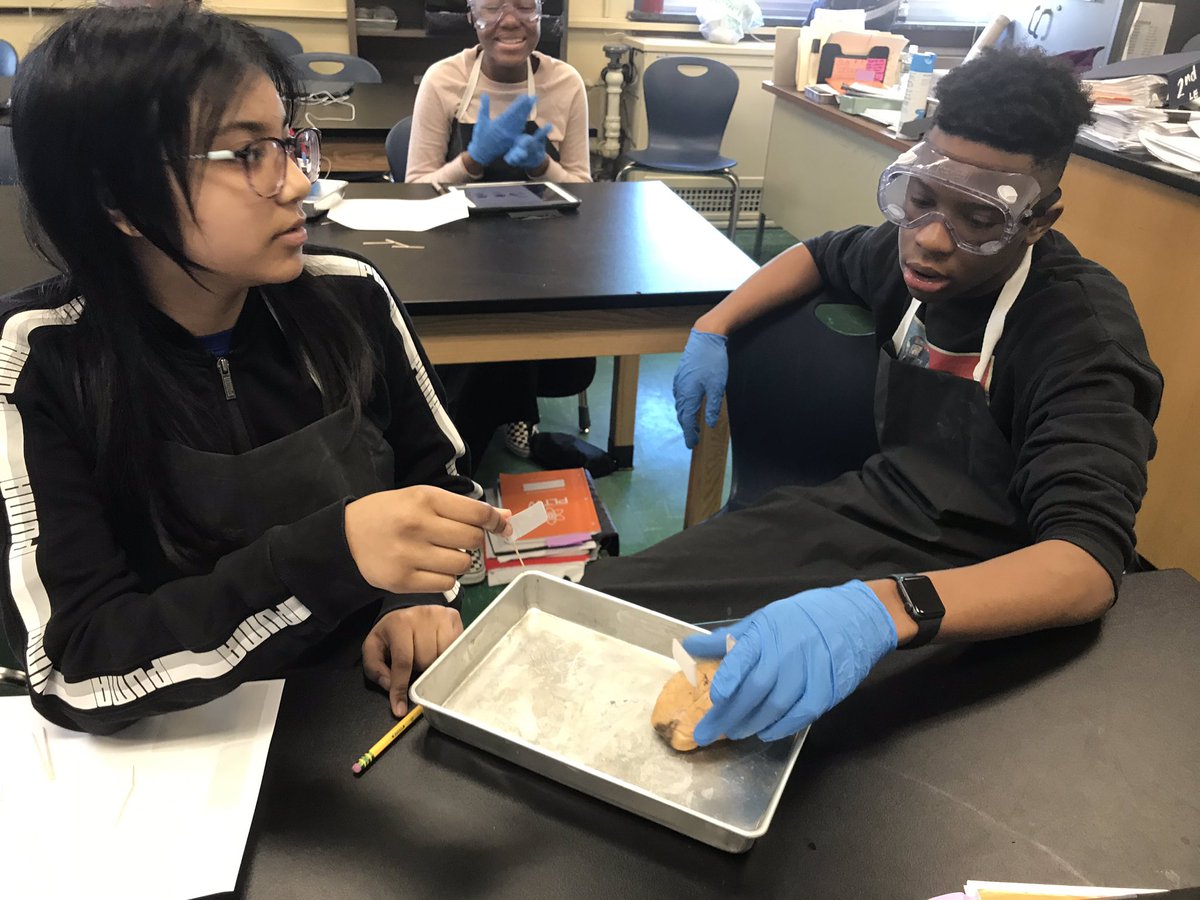 HTHScienceDept tweet media