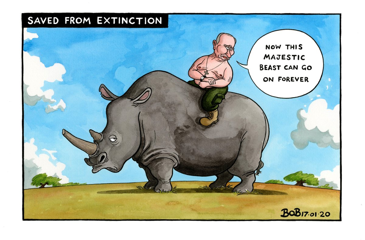 .@Telegraph cartoon#northernwhiterhino #Putin http://bobmoran.co.uk