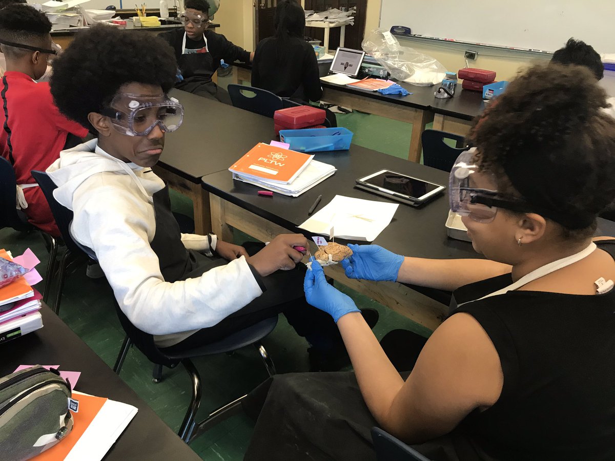 HTHScienceDept tweet media