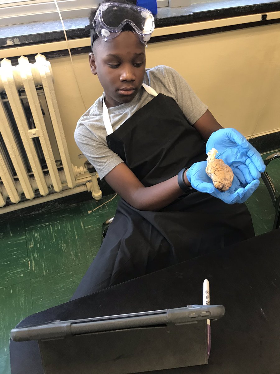 HTHScienceDept tweet media