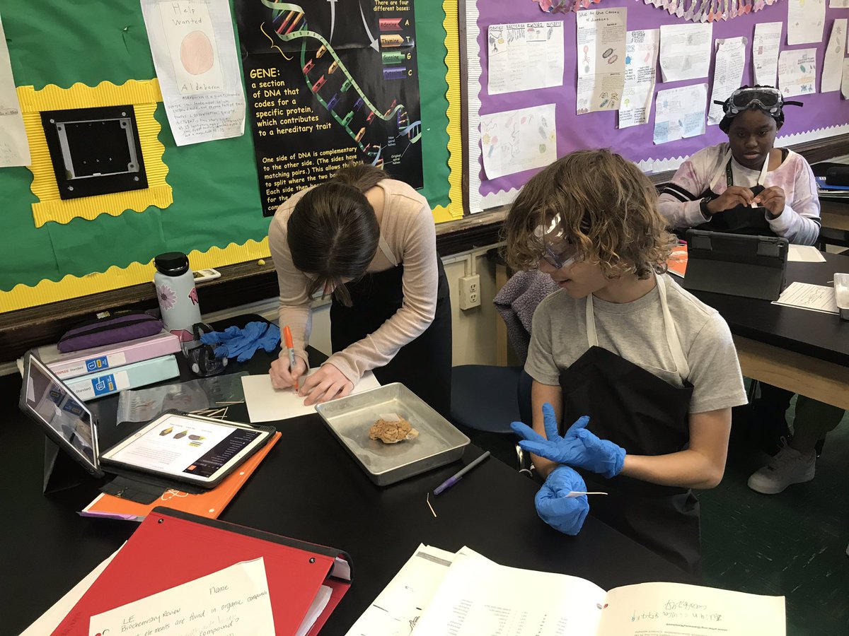 HTHScienceDept tweet media