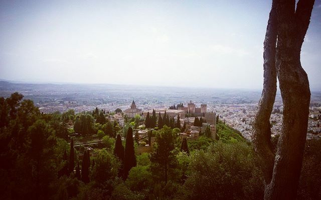 alhambradegrana's tweet photo. La Alhambra de Granada vista desde la colina de la Silla del Moro.

#Alhambra #Alhambraphoto #Alhambrapics #FotosdelaAlhambra #Instapics #SilladelMoro #Granada #Spain #Andalucia #Spaintravel #Travelphotography #PaseandoporGranada #Fotografiasdeviajes #Wa… https://t.co/6U7dR6KCJU https://t.co/XeqKrNwtHk