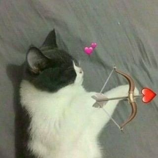 infinitifury's tweet photo. @Dean_win2401 @n_laziness 💅🏻💕🍒👀 https://t.co/44ygHCvJSx