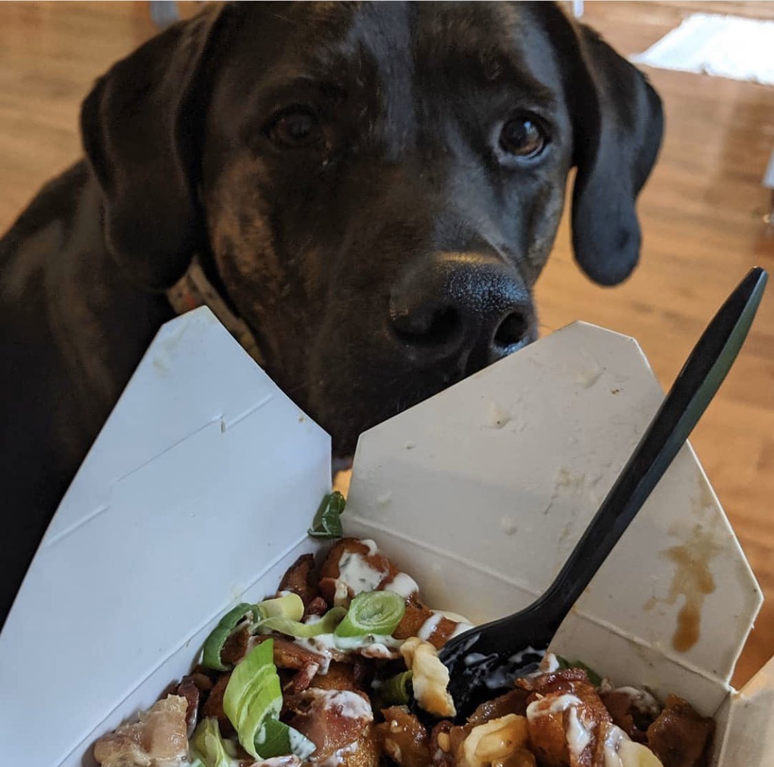Golden Fries tweet media