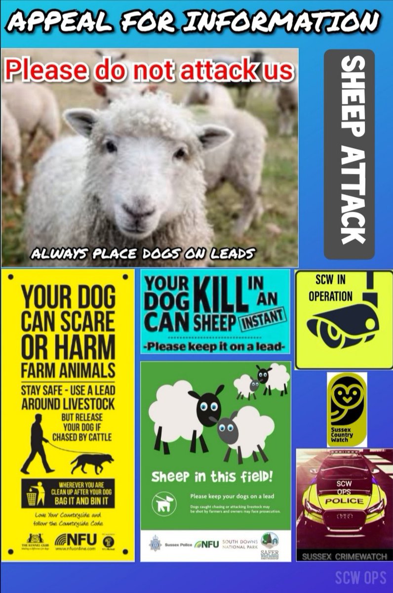 EdwardH08678864's tweet photo. #SheepWorrying
#SheepAttack 15/01/2020
#CrossInHand near #Heathfield
Any information please Contact Sussex Police 24/7:
📞101 (non-emergency)
📧101@sussex.pnn.police.uk (non-emergency)
💻 https://t.co/8llsMQqTtB (non-emergency)
☎️ Always dial 999 in an emergency!
#RuralCrime https://t.co/nJKTdOKJXv