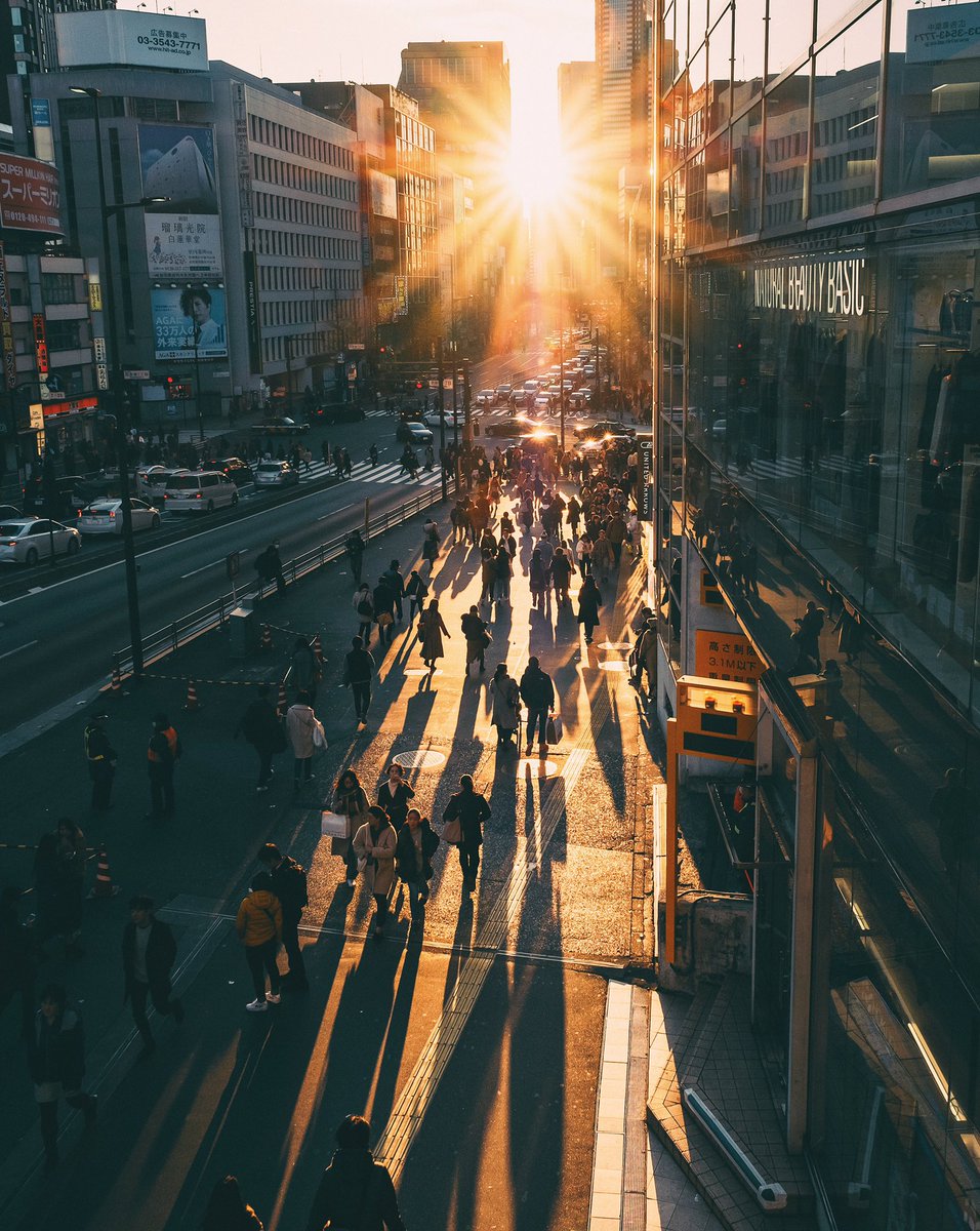 正月休みの東京では撮りに行ける時間少なかったけど光を追っかけるの楽しかったよ
#tokyo #fujifilm