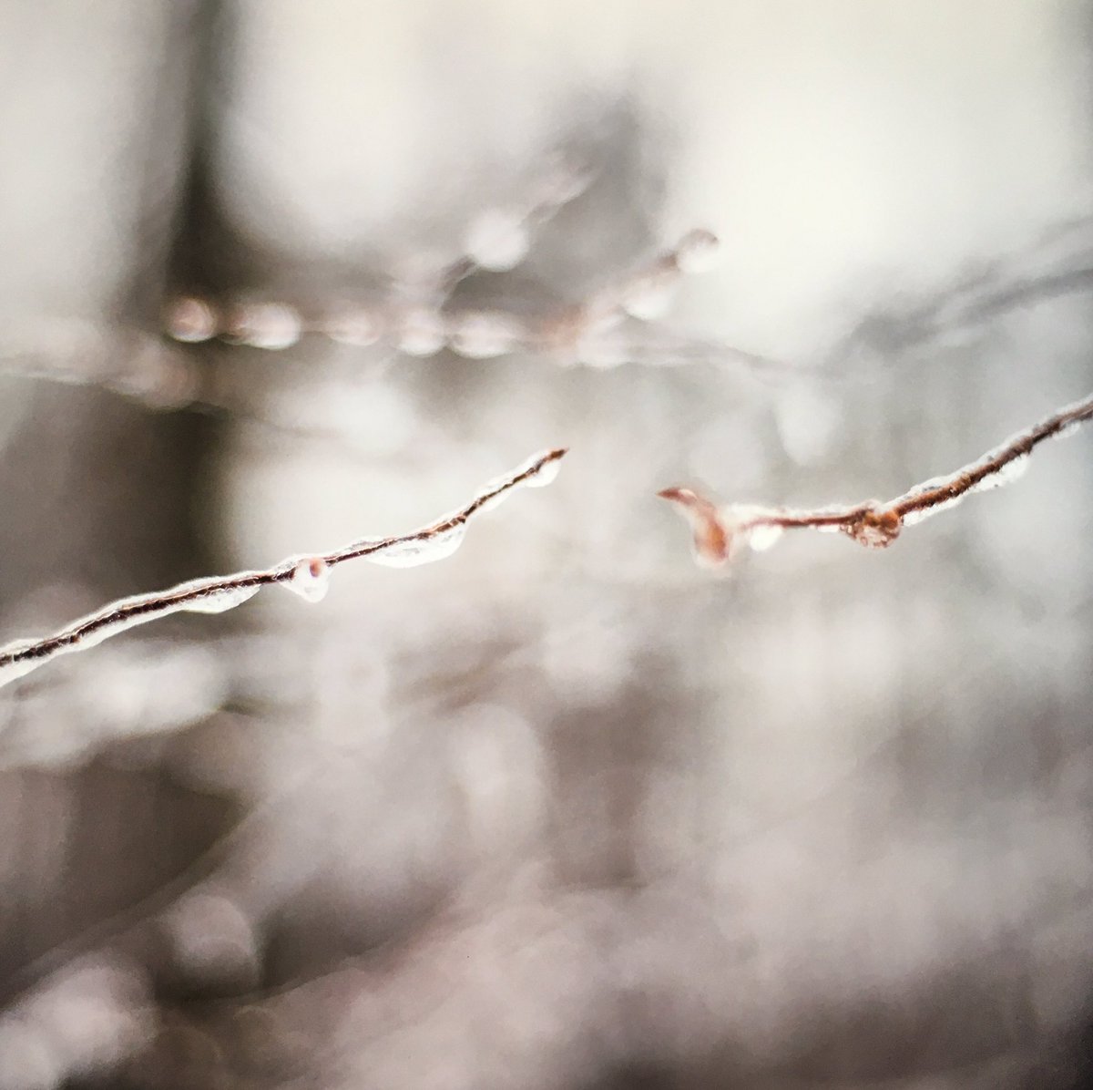 awilsoncreative's tweet photo. Once again I was inspired by my students great work to finally start a new photo project. Here is  a sneak peak at a few of my recent favourites #newartwork #workinprogress #artpractice #photography #fineartphotography https://t.co/z5lg6o92OW