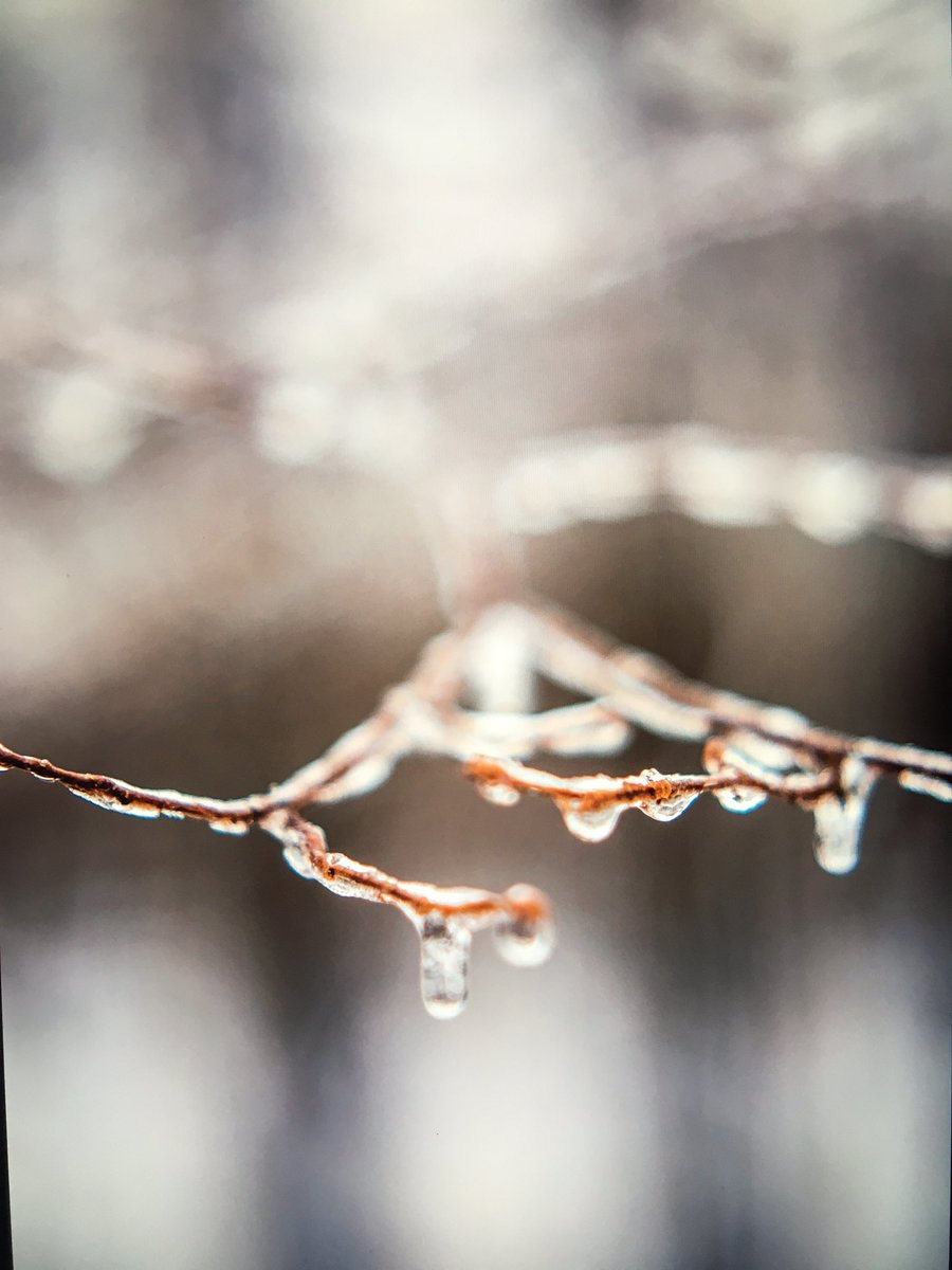 awilsoncreative's tweet photo. Once again I was inspired by my students great work to finally start a new photo project. Here is  a sneak peak at a few of my recent favourites #newartwork #workinprogress #artpractice #photography #fineartphotography https://t.co/z5lg6o92OW