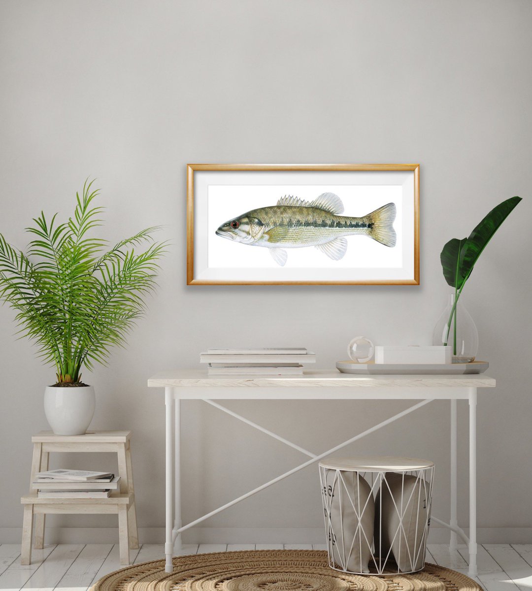 FishPrintShop's tweet photo. https://t.co/NLMHRzAGOZ