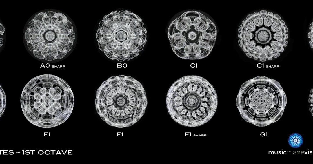 pimfmusiccamp's tweet photo. These aren’t snowflakes! They’re “portraits” of piano notes made visible with the help of a CymaScope that imprints sonic vibrations on the surface of ultra-pure water.
#pimf #piano #youthorchestra #cymascope #music #sound #cymatics #vibration #photographyofmusic #mindblown https://t.co/EItoXd6vdb