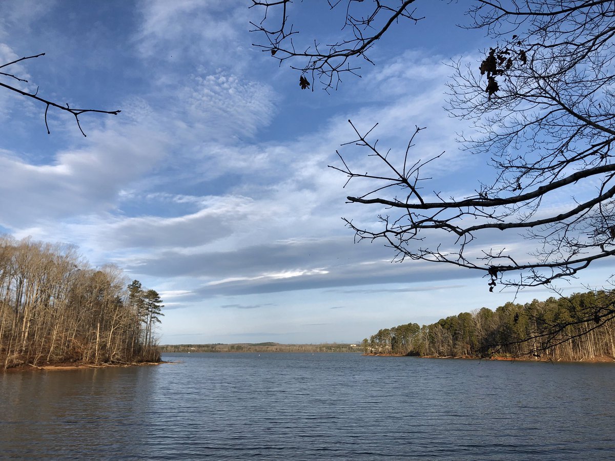 davidladner's tweet photo. Air. Land. Water. @ClemsonUniv #experimentalforest #fantsgrove https://t.co/4Tk8Dms8el
