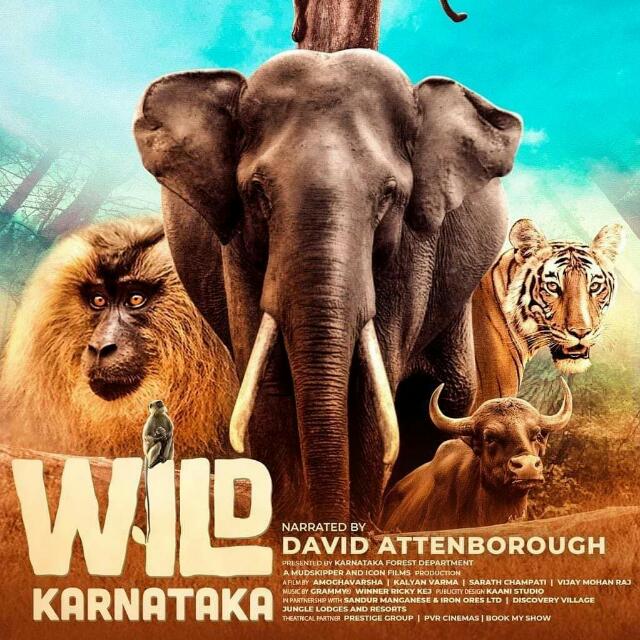 CineSuddi's tweet photo. Rishab Shetty to give voice for #WildKarnataka Kannada Version..@shetty_rishab @amoghavarsha @rickykej https://t.co/QRKtFU9A7P