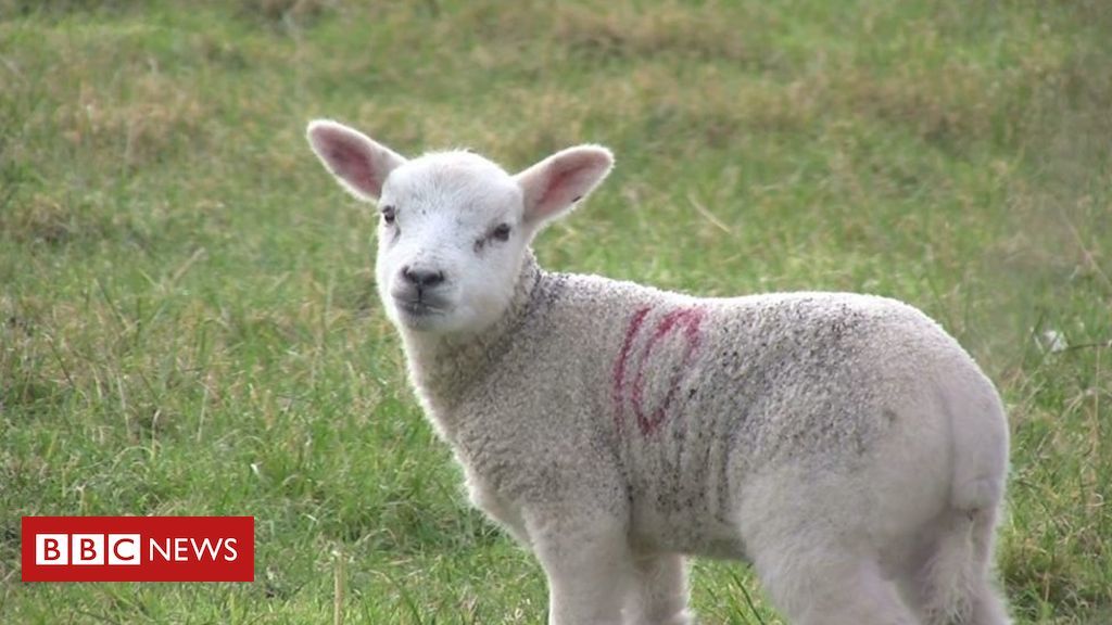 GlobalWelsh's tweet photo. RT @BBCWales
Have you ever wondered what products are made in Wales and sold abroad?
>> https://t.co/eyE1Yc6LY2
#WeAreTheGlobalWelsh #MyWales #WelshExport https://t.co/brpd9CafZF