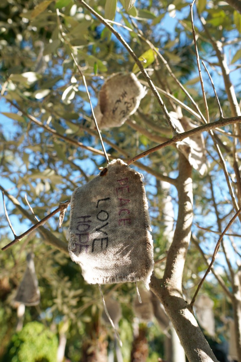 Have you seen the spirit tree at R.S Walsh Garden Center? You can purchase a canvas spirit tag for $5, share a positive message on the tree and all proceeds go to the local non-profit selected that month. Plus, In The Garden matches all tag sales! bit.ly/387OzOm