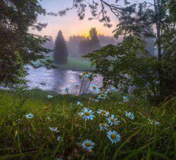 Faewitchling's tweet photo. #forest #forest_dwellers #faery https://t.co/6P0YcAnYuK