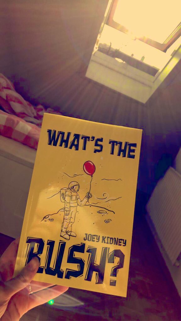 lisa_mnds's tweet photo. I finally got the time, I sat down, opened the window let the sun shine in my face, put on @picturethis music and read the whole book. What a perfect day. Thank you @joeykidney https://t.co/aP7O2x5Khi
