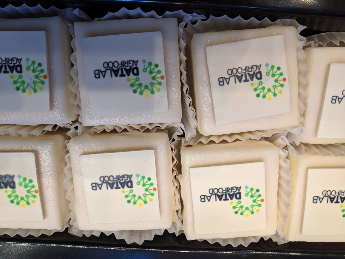 Lenny van Erp tweet media