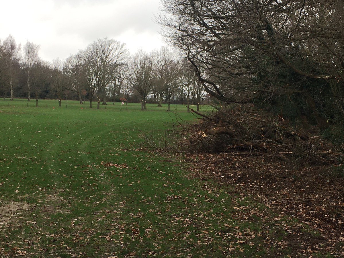 Surbiton Pro Shop (@surbitonproshop) on Twitter photo Using a poor day to crack on with the clearance of the scrub from the right hand side of what will eventually be one of the best short game areas in the south. #watchthisspace <a href="/SurbitonGolf/">Surbiton Golf Club</a> Using a poor day to crack on with the clearance of the scrub from the right hand side of what will eventually be one of the best short game areas in the south. #watchthisspace <a href="/SurbitonGolf/">Surbiton Golf Club</a>
